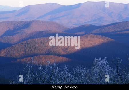 Chattahoochee NF, GA. Chattahoochee NF, GA Stockfoto