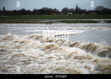 Die Trent in Flut an Beeston Stockfoto