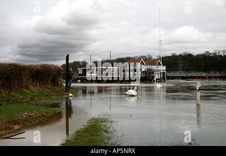 Trent Valley-Segel-Club Stockfoto