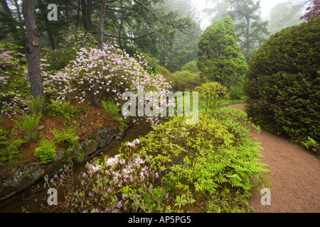 Asticou Azalea Gärten in Northeast Harbor im Bundesstaat Maine. In der Nähe von Acadia-Nationalpark auf Mount Desert Island. Stockfoto