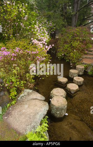 Asticou Azalea Gärten in Northeast Harbor im Bundesstaat Maine. In der Nähe von Acadia-Nationalpark auf Mount Desert Island. Stockfoto