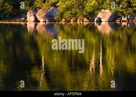 Frühmorgens am See Katahdin in Maine Northern Forest. In der Nähe von Baxter State Park. Stockfoto