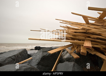 Wrack-Holz aus Ice Prince Schiff Stockfoto