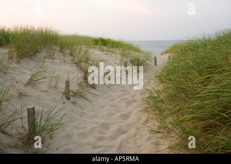 Ein Pfad durch die Dünen an Spitze der Wiese Strand auf Cape Cod National Seashore in Truro, Massachusetts. Stockfoto