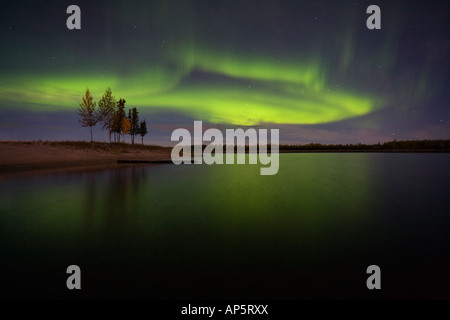 Sauberes Bild eine beeindruckende Darstellung der Aurora Borealis über noch See und Bäume in der Nähe von Fairbanks, Alaska Stockfoto