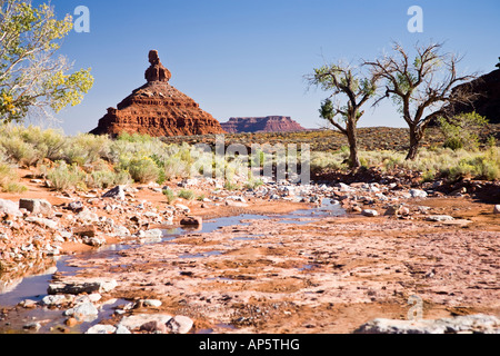 Einstellung Henne Butte - Tal der Götter in Utah, USA Stockfoto