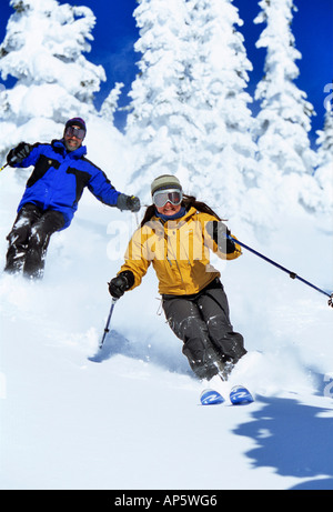 Skifahren im Pulverschnee im Big Mountain Resort in Whitefish Montana (MR) Stockfoto