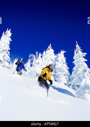 Skifahren im Pulverschnee im Big Mountain Resort in Whitefish Montana (MR) Stockfoto