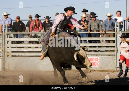 Bullenreiten bei North American Indian Days in Browning, Montana Stockfoto