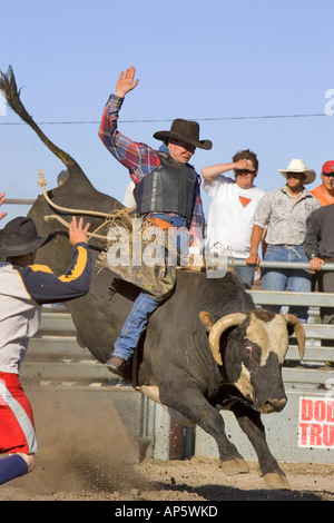 Bullenreiten bei North American Indian Days in Browning Montana Stockfoto