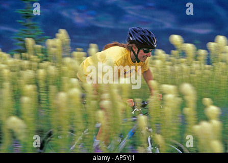 Weibliche Mountainbiker durch das Bärengras im Big Mountain Resort in Whitefish, Montana (MR) Stockfoto