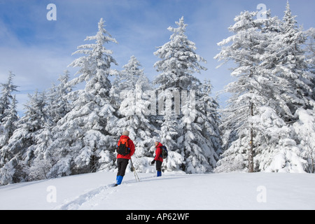 Winterwandern auf Mount Cardigan in New Hampshire. Clark Trail. Canaan, NH. Stockfoto