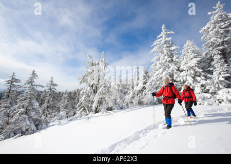 Winterwandern auf Mount Cardigan in New Hampshire. Clark Trail. Canaan, NH. Stockfoto