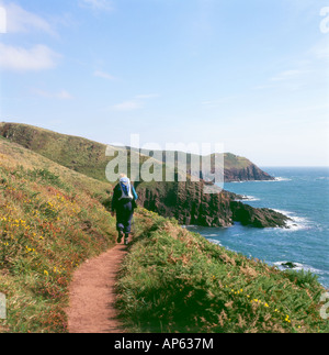 Frau zu Fuß entlang der neuen Wales Küste Weg im Herbst in der Nähe von Manorbier in Pembrokeshire, West Wales UK KATHY DEWITT Stockfoto