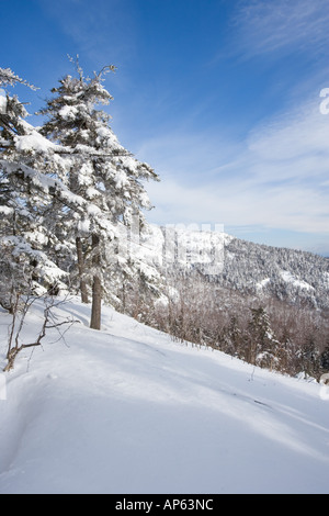 PJ-Leiste nach Neuschnee auf Mount Cardigan in Kanaan, NH. Clark Trail.n Stockfoto