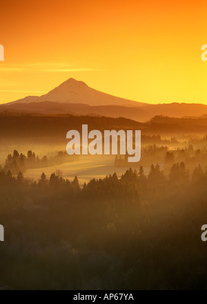 Sunrise Orange Farben den Nebel im Tal vor Mt. Hood, Oregon vom Jonsrud Standpunkt aus gesehen. Stockfoto