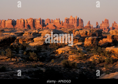 Canyonlands National Park, UT Dawn im Stadtteil Nadeln. Blick vom Schlagloch Point. Cedar Mesa Sandstein. Stockfoto