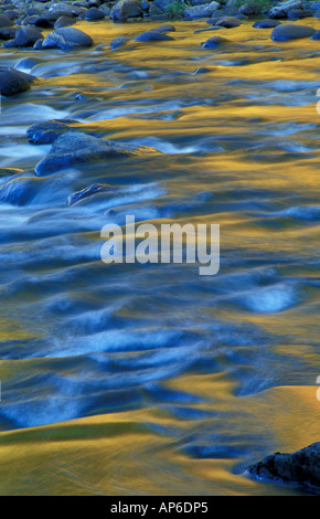 Jamaika, VT Herbst Farben in der West River zu reflektieren. Jamaika State Park. Stockfoto