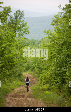 Mountainbiken auf eine Forststraße in Granby, Vermont, in der Nähe von Krankenschwester Berg. Die Northeast Kingdom. Stockfoto