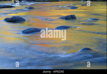 Jamaika, VT Herbst Farben in der West River zu reflektieren. Jamaika State Park. Stockfoto