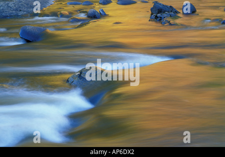 Jamaika, VT Herbst Farben in der West River zu reflektieren. Jamaika State Park. Stockfoto