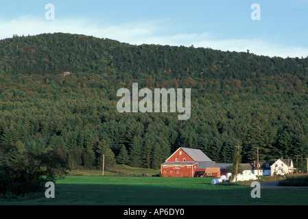 Waitsfield, VT Mad River Valley. Farm in den grünen Bergen. Stockfoto