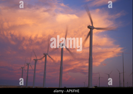 Windmühlen in Stateline-Wind-Projekt mit einer hellen Wolke hinter Stromerzeugung. Sonnenuntergang. Walla Walla County, WA. USA Stockfoto