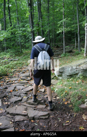 Mann in den Catskill Mountains wandern in der Nähe von North-South Lake, Hunter, Upstate New York, USA Stockfoto