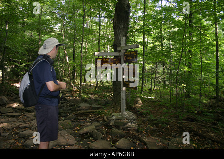 Mann, Blick auf ein Schild in den Wald, um herauszufinden, welchen Weg Sie gehen Haines Falls, New York, Greene County, NY Stockfoto