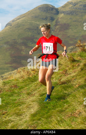 Hill, läuft in die Ochil Hügel hinter Alva, Clackmannanshire, Schottland Stockfoto