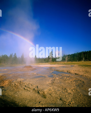 Rosa Kegel Geysir im Yellowstone-Nationalpark Stockfoto