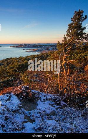 Aussichtspunkt am Särö Västerskog, Halland, Schweden Stockfoto