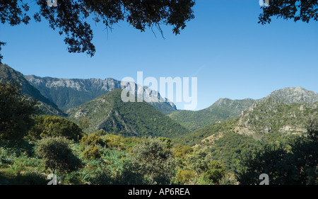 Sierra de Grazalema Cadiz Provinz Andalusien Spanien Garganta Verde Stockfoto