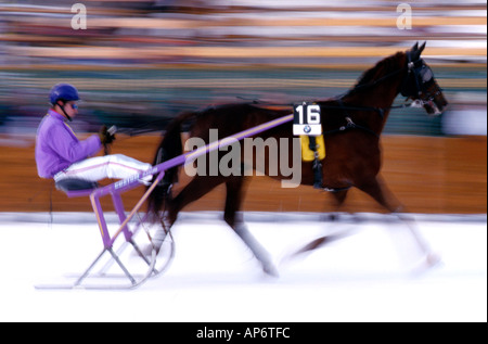 Pferderennen mit Schlitten in St. Moritz, Frankreich Stockfoto