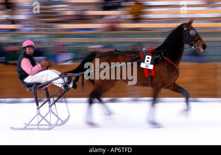 Pferderennen mit Schlitten in St. Moritz, Frankreich Stockfoto