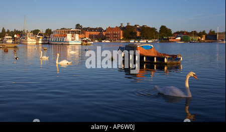 Oulton Broad nahe Lowestoft, Suffolk an einem Sommermorgen Stockfoto