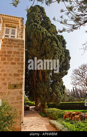 Frühjahr die Galiläa Zypresse im Garten in Mazraa in der Nähe von Nahariya Bahai Stockfoto