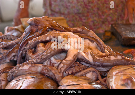 Nahaufnahme von frischen Oktopus zum Verkauf in ein Open-Air-Fischmarkt in der Nähe von Puerto la Cruz, Venezuela, Südamerika Stockfoto
