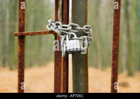 Nahaufnahme von vorhängeschlössern Gate Stockfoto