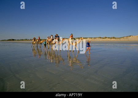 Besucher machen Sie einen Kamelritt am Strand in der Nähe von Western Australia-Stadt Broome Stockfoto