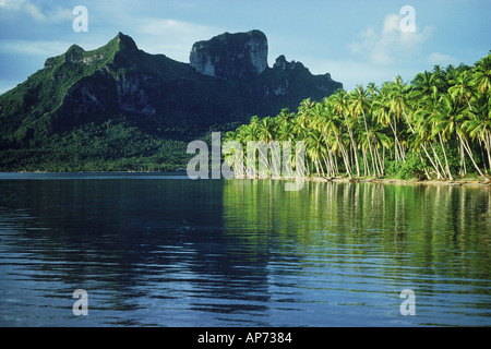 Mount Otemanu und Linie von Palmen auf der Insel Bora Bora in Französisch-Polynesien Stockfoto