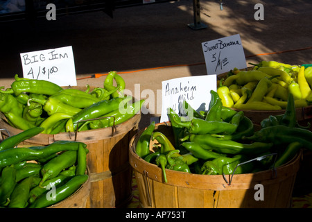 Grüne Paprika zum Verkauf auf dem Bauernmarkt in Longmont, Colorado, USA Stockfoto