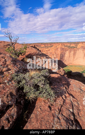 Morgenlicht auf Canyon de Chelly von Schiebe-Haus mit Blick auf Canyon de Chelly National Monument Arizona Stockfoto