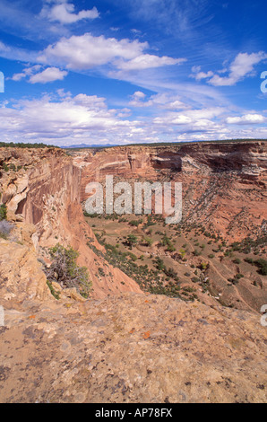 Am Nachmittag Licht auf Canyon Del Muerto von Massacre Cave übersehen Canyon de Chelly National Monument Arizona Stockfoto