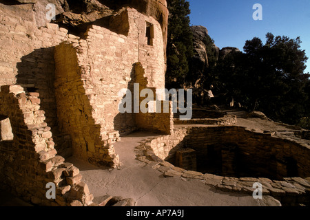 Abendlicht auf Kiva und Wände am Cliff Palace Ruine Mesa Verde National Park World Heritage Site Colorado Stockfoto