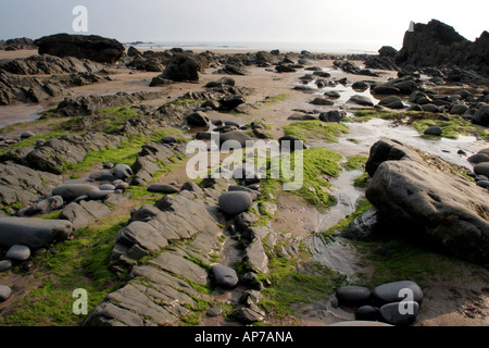 Felsen am Duckpool Beach in North Cornwall, in der Nähe von Bude Stockfoto