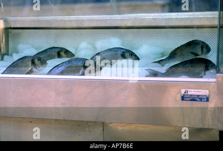 Griechischer Fisch zum Verkauf Stockfoto