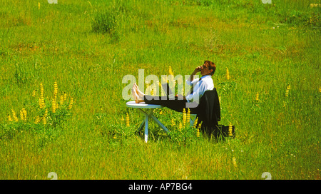 Barfuß Geschäftsmann mit Tisch, Computer und Handy in seinem Outdoor-Büro des Grases und Wildblumen Stockfoto