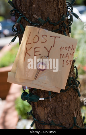 Hausschlüssel auf dem Baum verloren Stockfoto