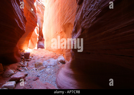 Buckskin Gulch, arizona Stockfoto